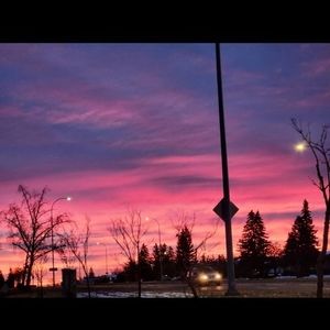 Meet your Posher, Eva